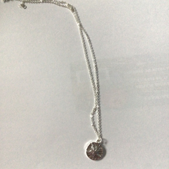 Sand dollar pendant with necklace - Picture 4 of 8